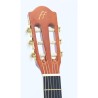FFALSTAFF C341 Chitarra Classica 3/4