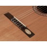 SALVADOR CORTEZ CC-25 Chitarra Classica
