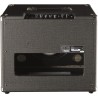 Amplificatore EKO Manchester 30